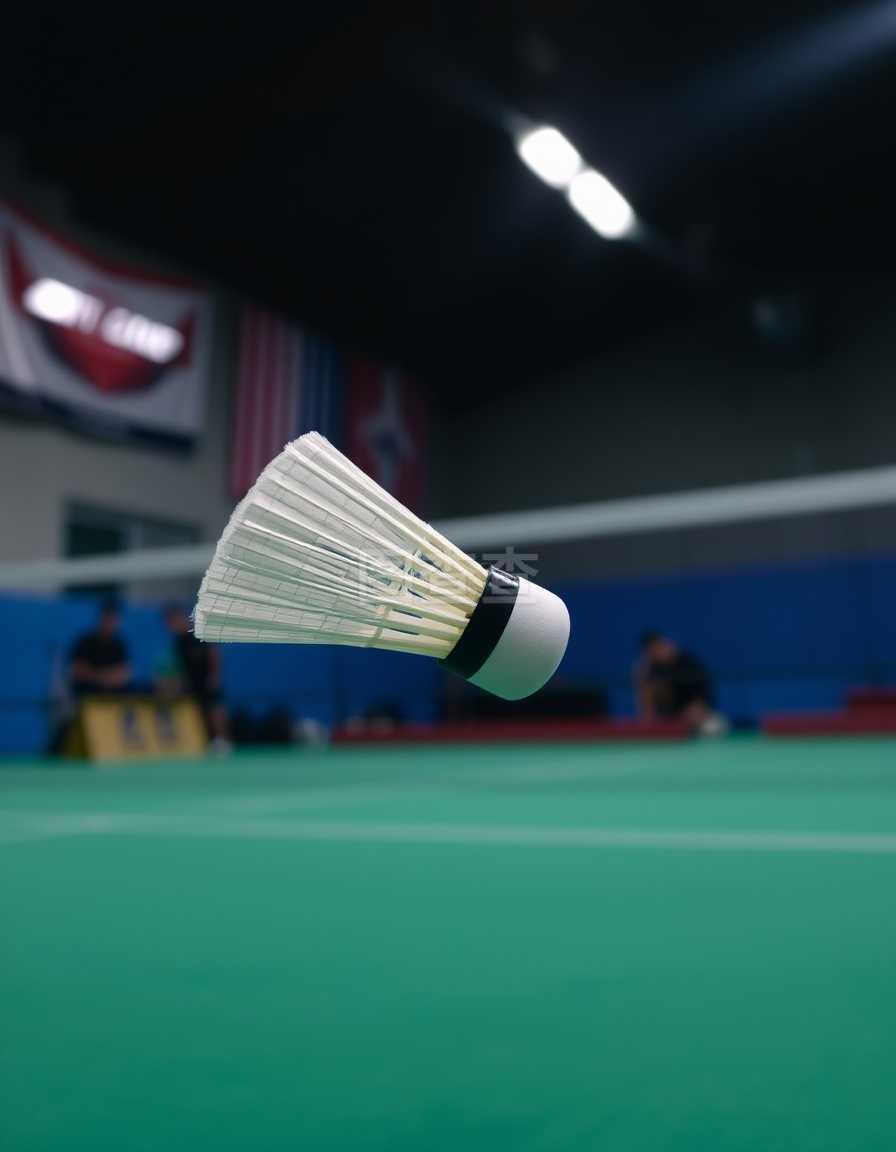 整体协作和 整体协作和